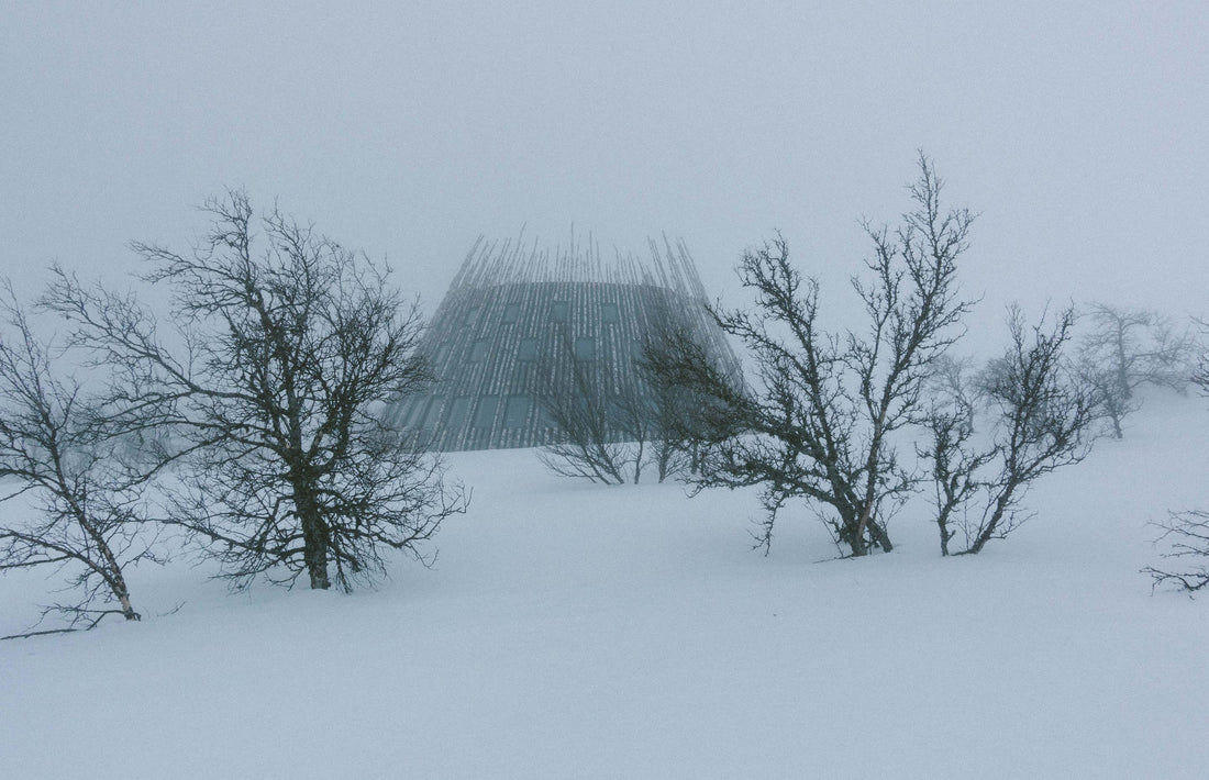 Winter 2022-23