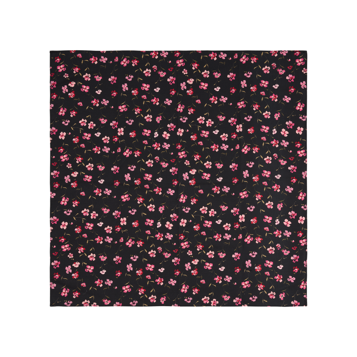 Claire Scarf
